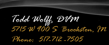 Todd Wolf, DVM