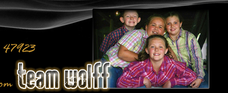 Team Wolff